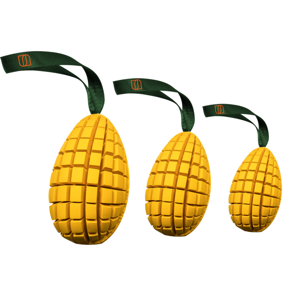 Herm Sprenger Fruit Challenge Mango dog toy