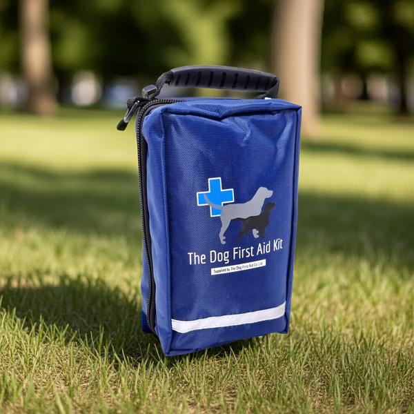 Mini Dog First Aid Kit outdoors on grass