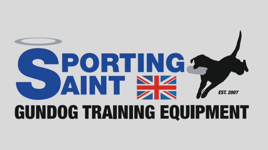 Sporting Saint Gundogs