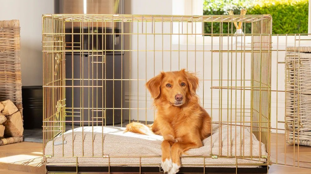 Dog Bedding & Crates