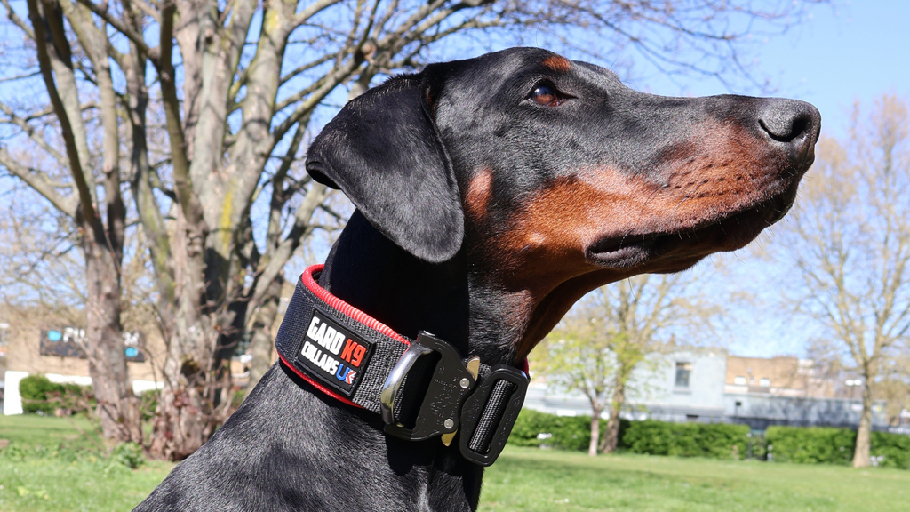 Collars