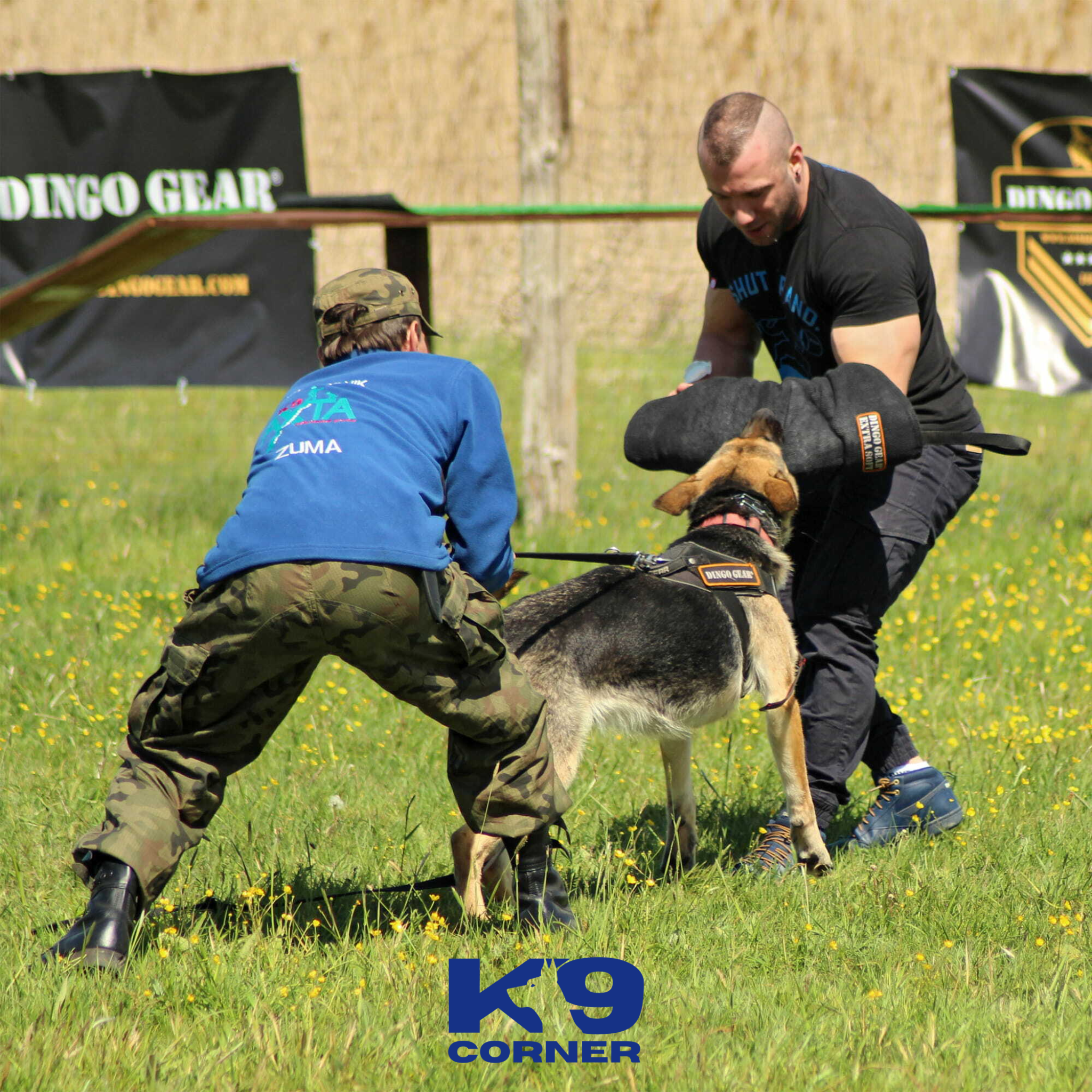 dingo gear DINGO GEAR Gizmo Bite Wedge for K9, IGP, Dog Sports,