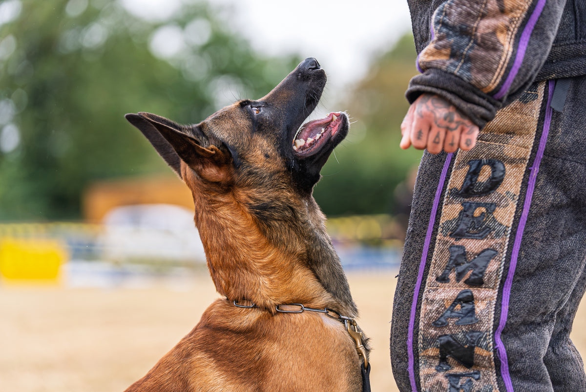 Dog training equipment & working dog supplies UK