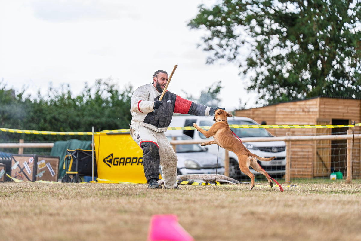 Dog training equipment & working dog supplies UK