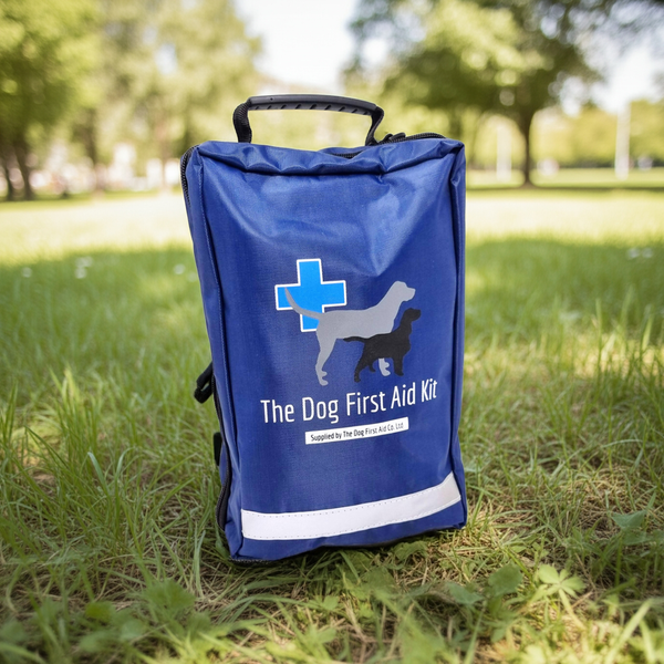 Premium Dog First Aid Kit on grass
