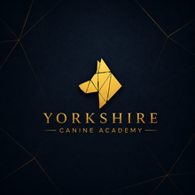 Tonie - Yorkshire Canine Academy