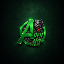 Tyler - Apex K9